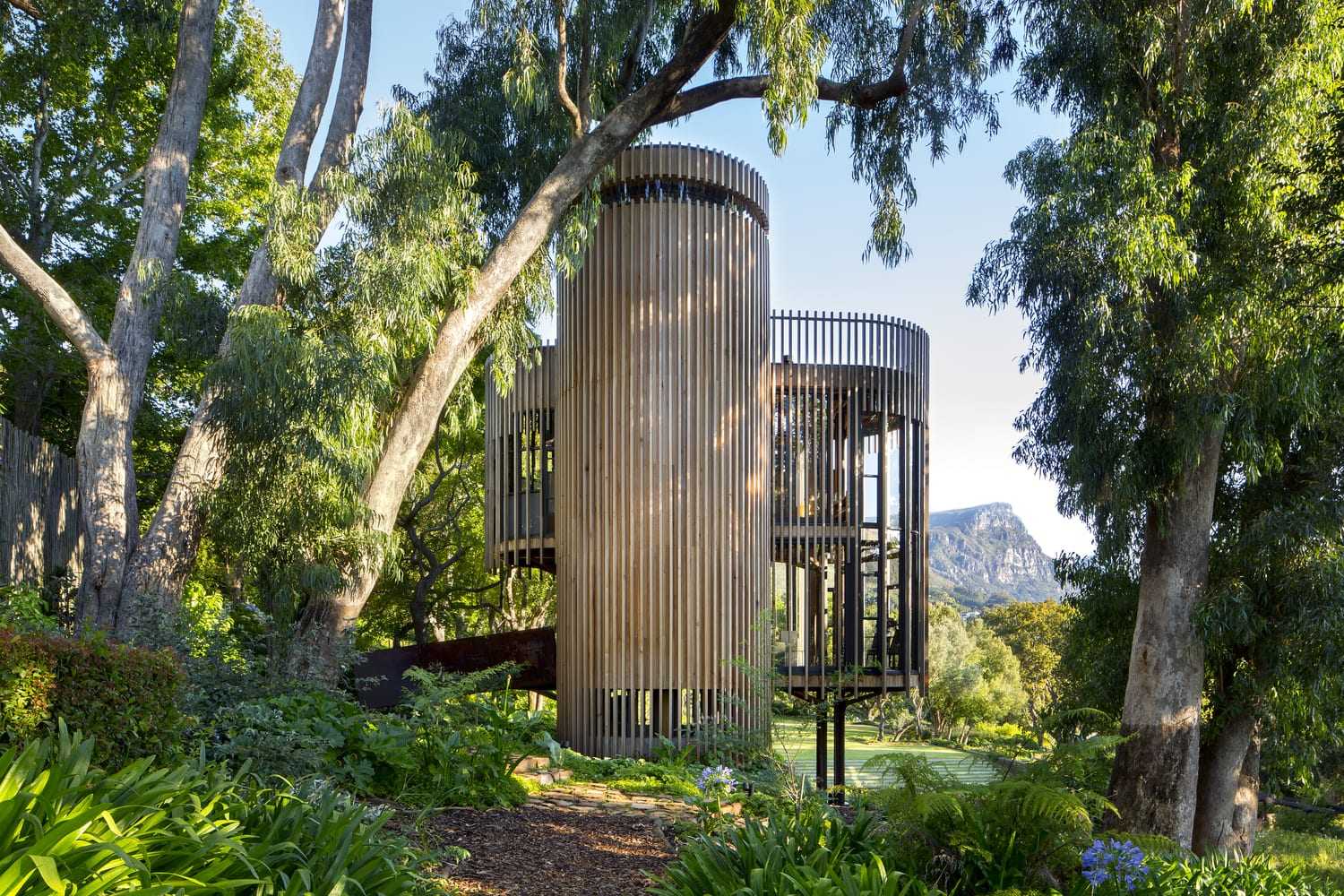 Tree House – Malan Vorster Architecture Interior Design