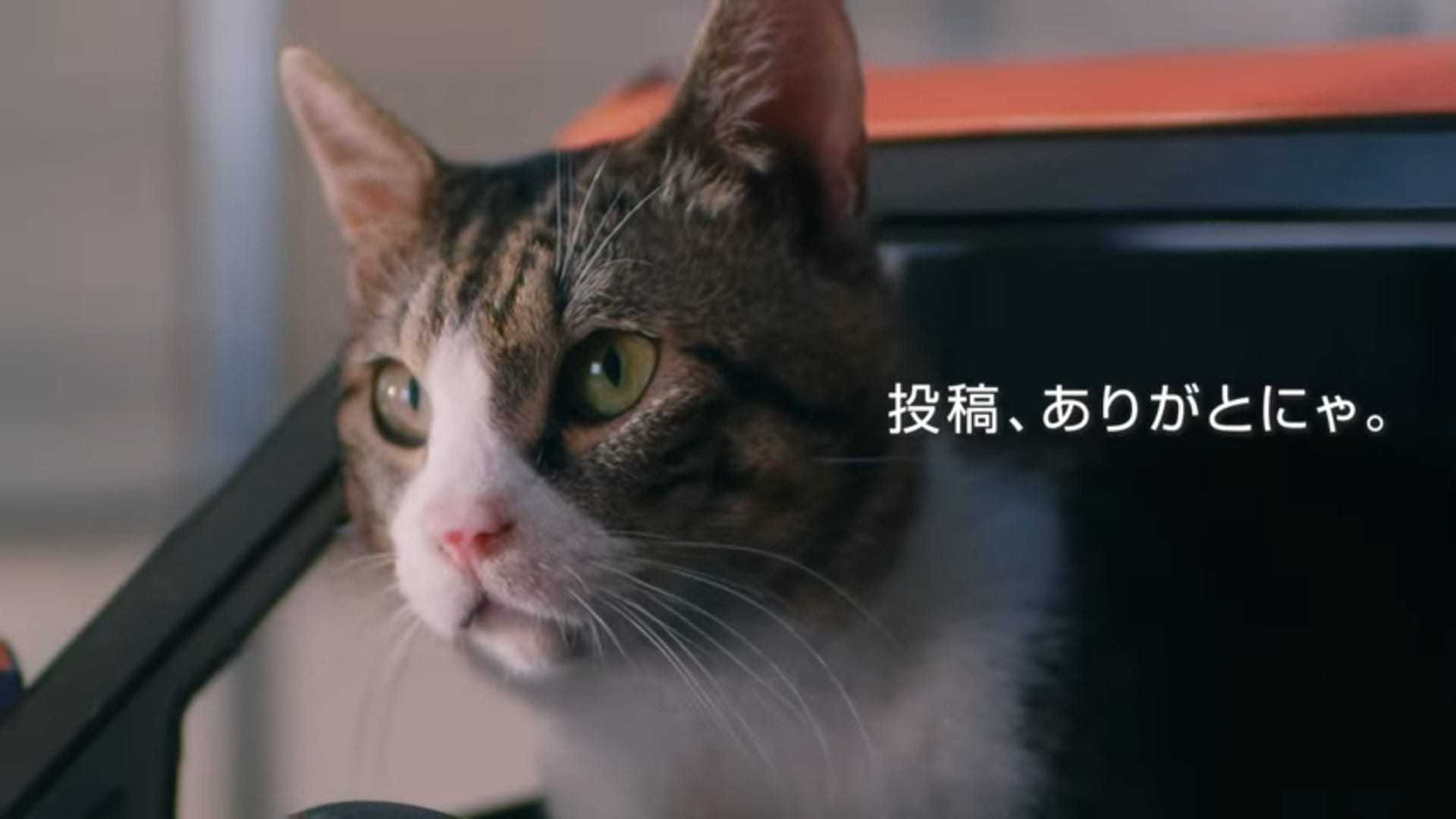 Μια… γατοιδέα από τη Nissan