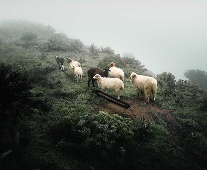 Εθνικό Βραβείο Sony World Photography Awards 2021