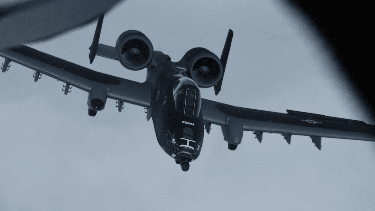 A-10 Thunderbolt II Snake Paint