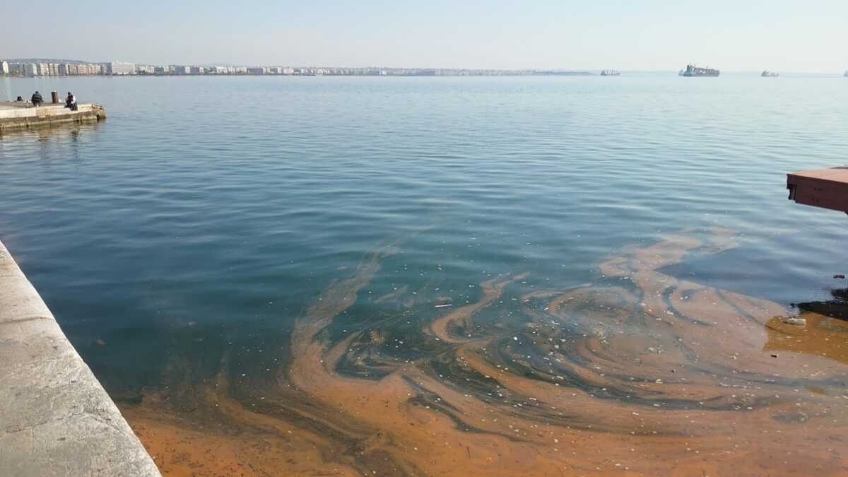 Το ανθισμένο φυτοπλαγκτόν στο Αιγαίο, η ενοχλητική βλέννα, οι μέδουσες…