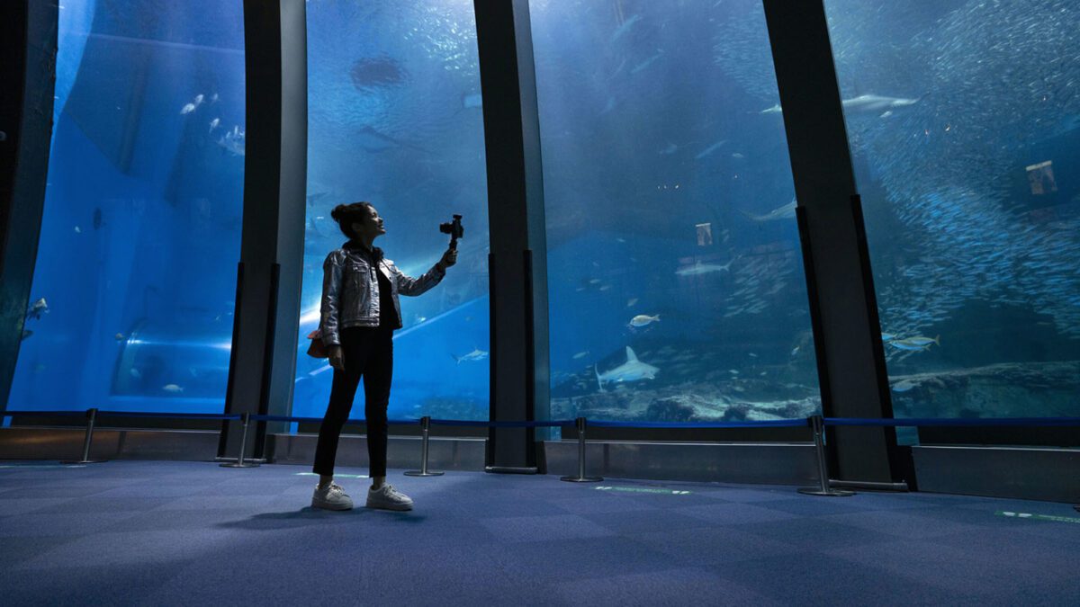 Νέο Sony ECM-G1 Shotgun Micκρόφωνο