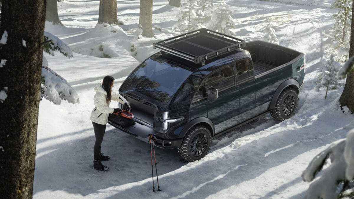 The American Bulldog