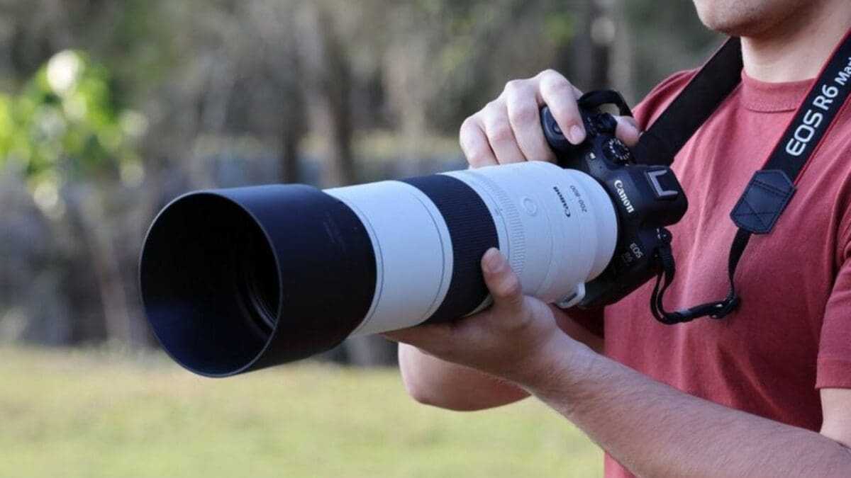 Ο νέος Canon RF 200-800mm F6.3-9 IS USM